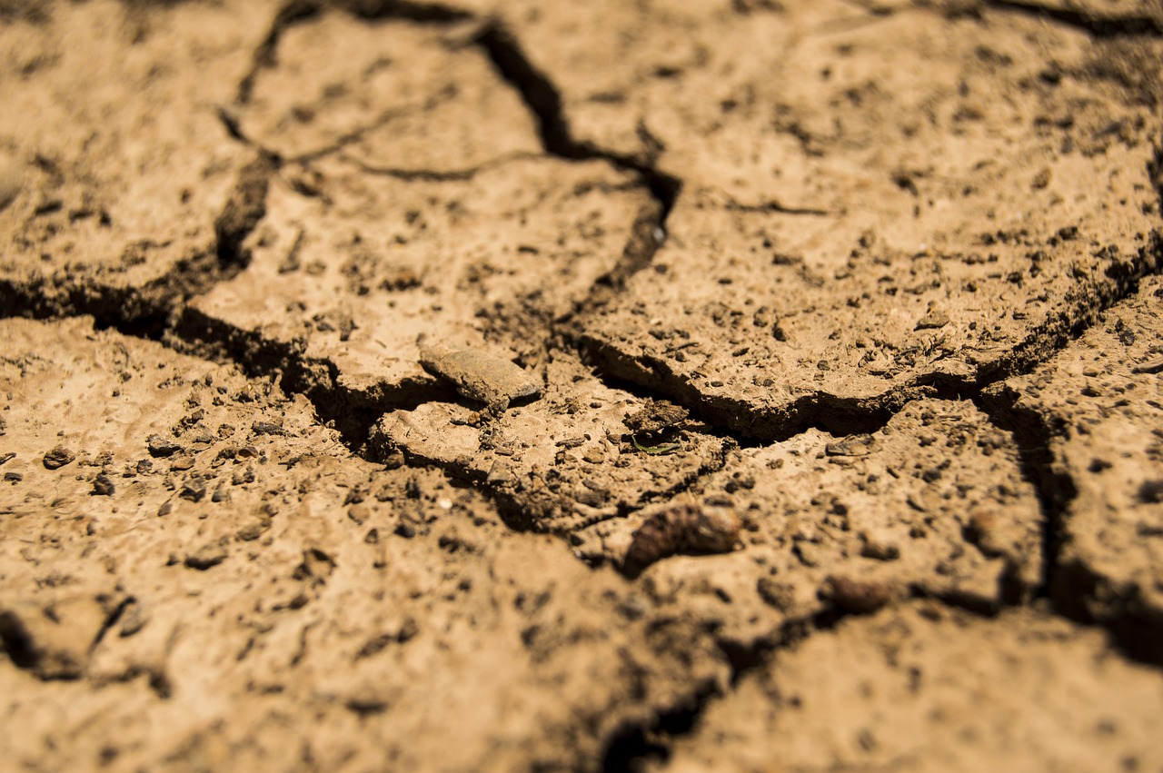 How Droughts Impact Global Crop Production